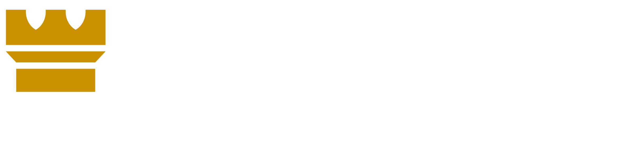 Newcastle Limited Logo